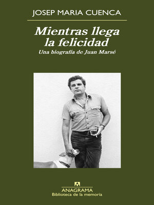 cover image of Mientras llega la felicidad